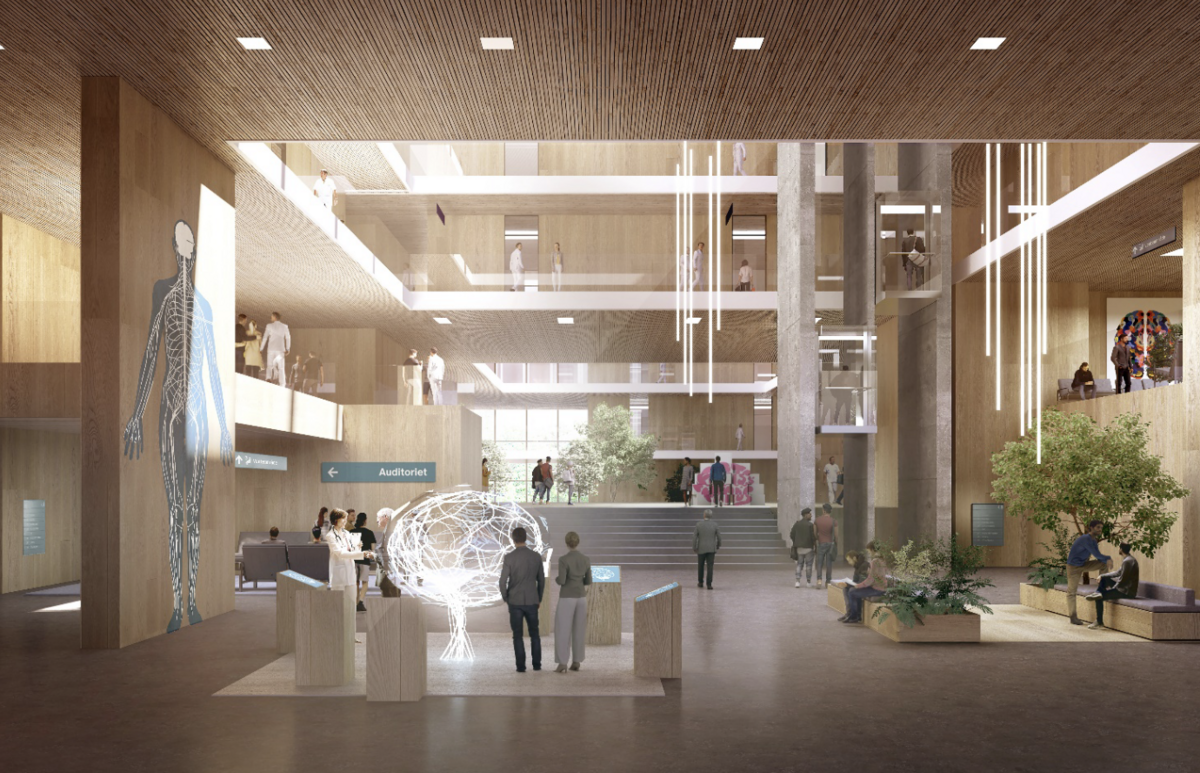 Over half a billion kroner to secure world-leading brain research in Aarhus